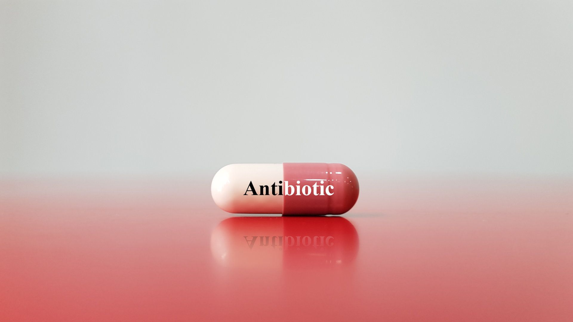 Antibiotic tablet