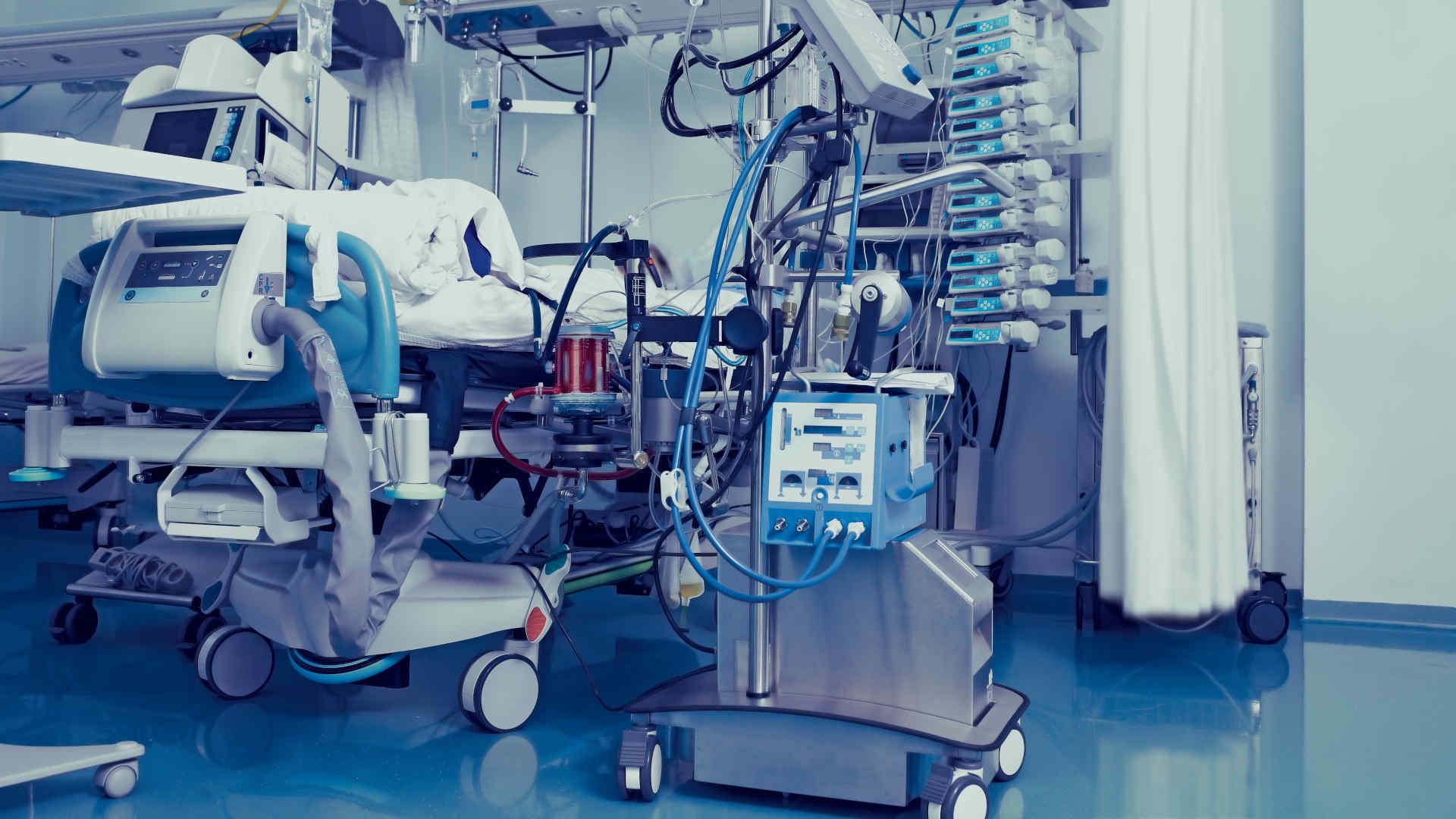 Capillary with erythrocytes